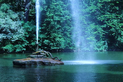 Scenic view of waterfall in forest