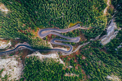 High angle view of trees by road