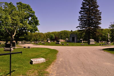 Trees in cemetery against clear sky