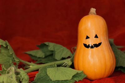 Close-up of pumpkin pumpkins