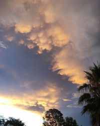 Low angle view of trees against cloudy sky