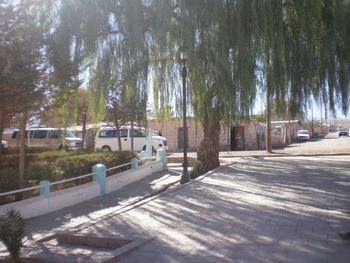 View of building with trees in background