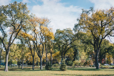 Trees in park against sky during autumn