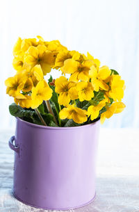 Close-up of yellow flower pot on table