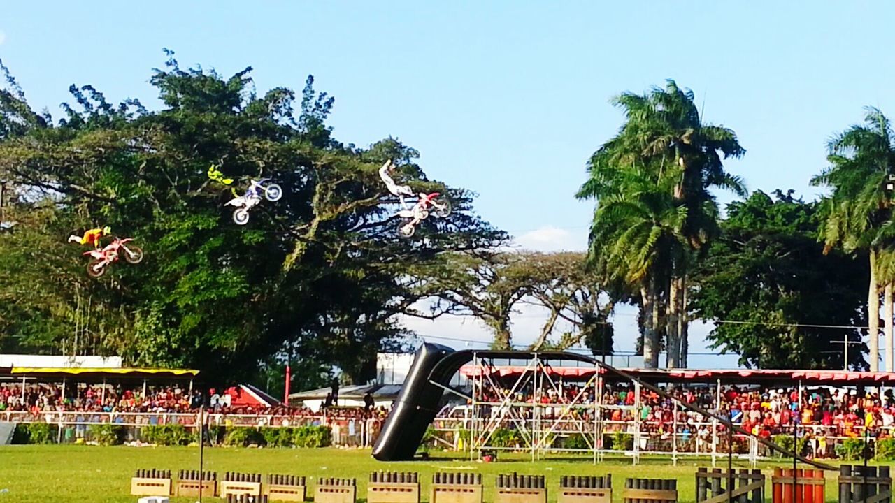 tree, clear sky, growth, palm tree, railing, sky, nature, day, water, built structure, green color, plant, building exterior, outdoors, tranquility, architecture, beauty in nature, blue, tranquil scene, no people