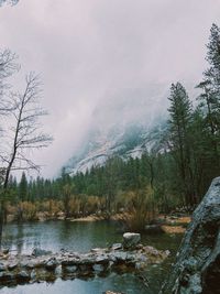 Scenic view of lake by trees against sky