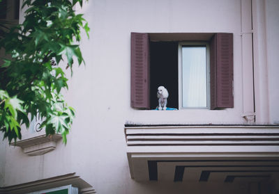 Rear view of man walking by window