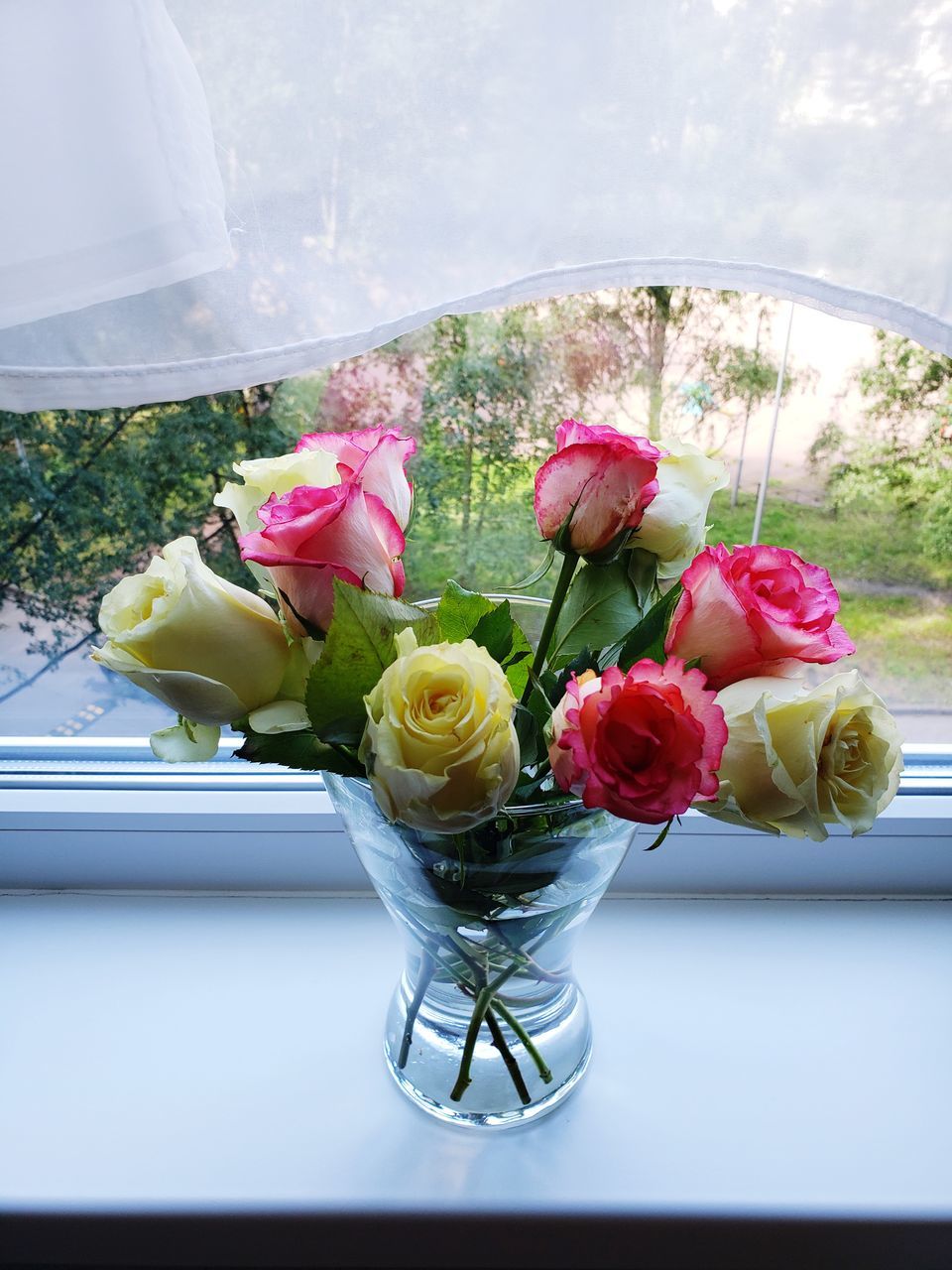 CLOSE-UP OF ROSES IN VASE ON TABLE