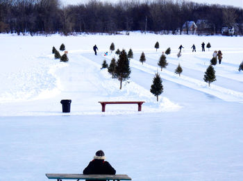 Rear view of man sitting on bench at snow covered field