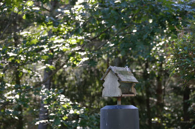 Low angle view of bird on tree