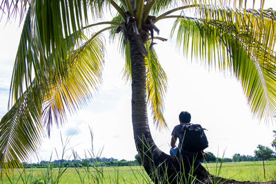 Rear view of man sitting on palm tree