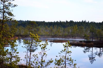 Scenic view of lake by trees against sky
