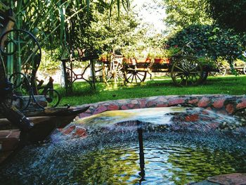 View of canal amidst trees in park