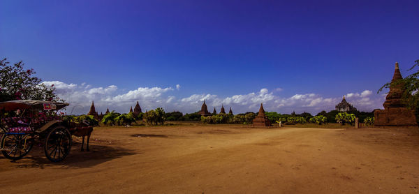 Panoramic shot of palm trees against blue sky