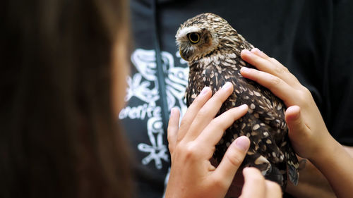 Domestic owl. girl strokes a small motley owl. close-up. in the forest, park for a walk, summer day.