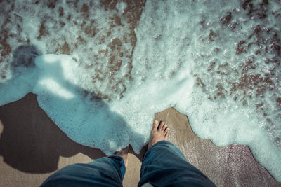 Low section of person standing on sea shore
