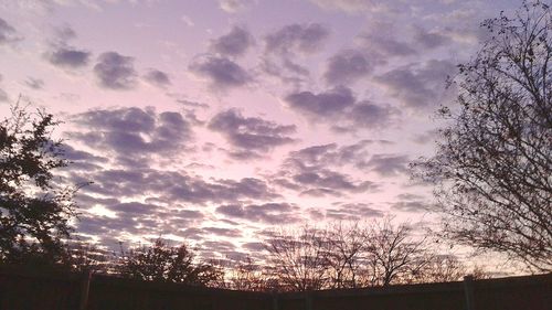 Low angle view of trees against cloudy sky