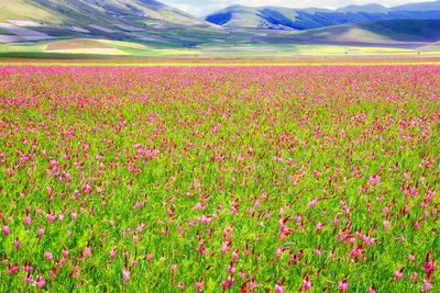 Scenic view of landscape and mountains