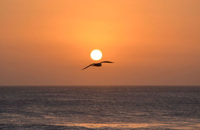 Scenic view of sea against orange sky