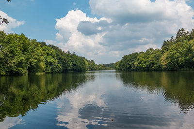 Scenic view of lake by trees against sky