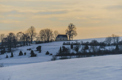 Bare trees on snow field against sky during sunset
