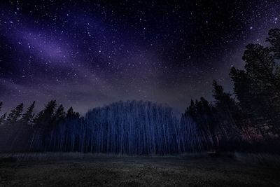 Low angle view of trees against sky at night