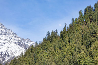 Low angle view of snowcapped mountain against sky