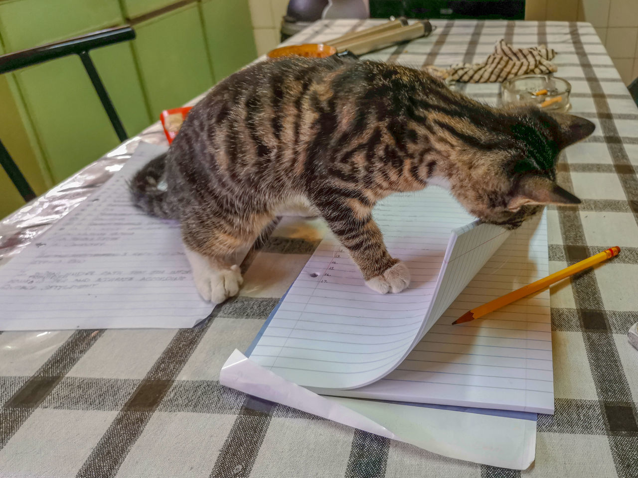 HIGH ANGLE VIEW OF A CAT SITTING ON TABLE