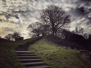 View of tree against sky