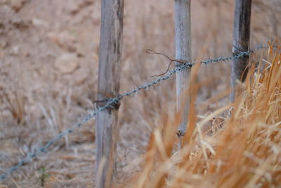 Close-up of barbed wire fence on field