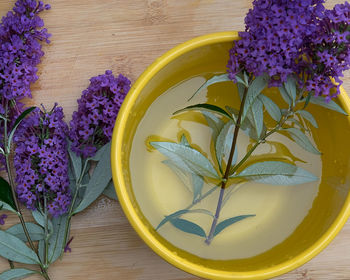 Directly above shot of flower vase on table