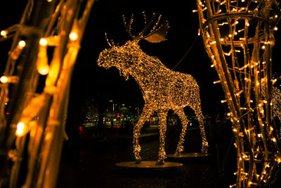 Illuminated christmas tree at night