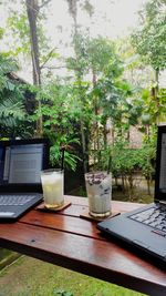 Potted plants on table in yard