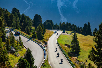 High angle view of road by trees and plants