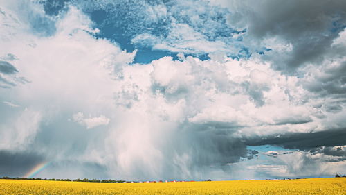 Scenic view of agricultural field against sky