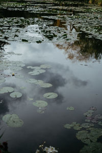 High angle view of water floating on lake