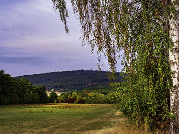 Scenic view of landscape against sky