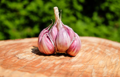 Organic garlic on wooden table