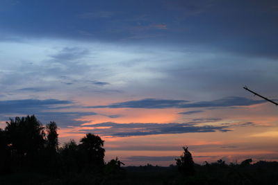 Low angle view of silhouette trees against sky during sunset