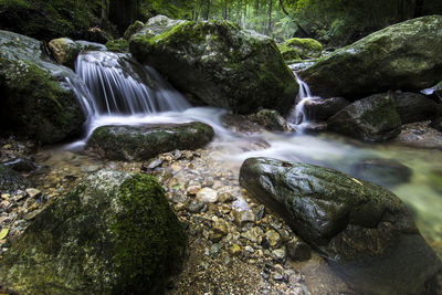 Scenic view of waterfall in forest