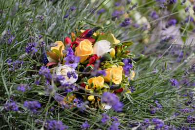 Close-up of purple flowering plants on field