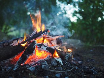 Close-up of bonfire