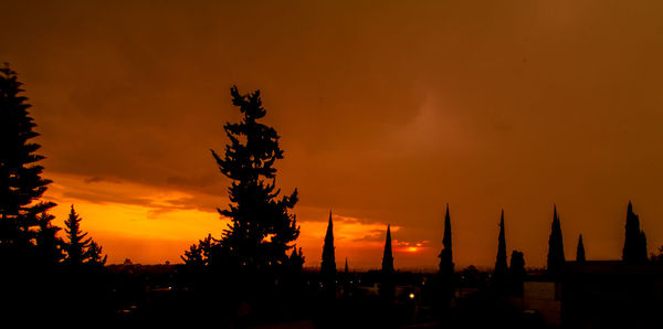 Silhouette plants against orange sky during sunset