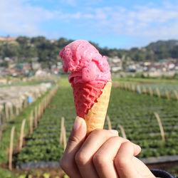Close-up of hand holding ice cream cone