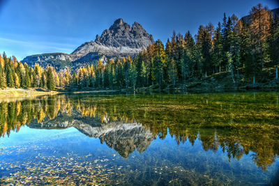 Scenic view of lake by trees against sky
