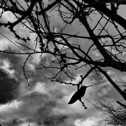 Low angle view of bare tree against cloudy sky