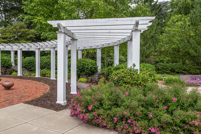 View of plants in garden