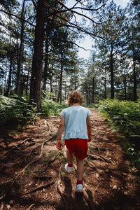 Rear view of boy walking in forest