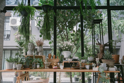 Chairs and table against trees seen through window