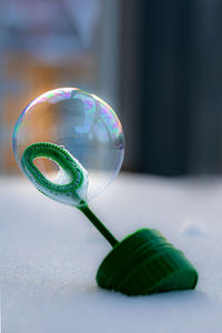 Frosted soap bubble in winter snow